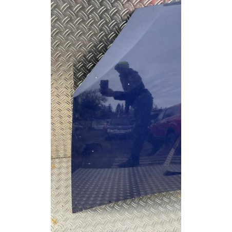 Capot DACIA SANDERO 1 Photo n°1