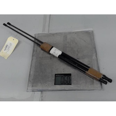 Verin de coffre NISSAN JUKE 1 Photo n°1