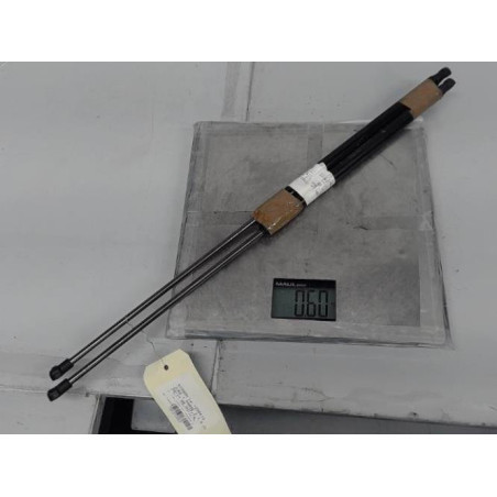 Verin de coffre NISSAN JUKE 1