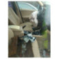 Pont (propulsion) BMW X3 E83