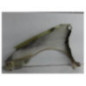 Aile avant droit RENAULT SCENIC 1