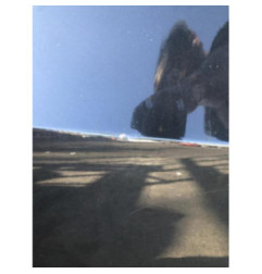 Porte avant droit CHEVROLET AVEO 2 Photo n°1