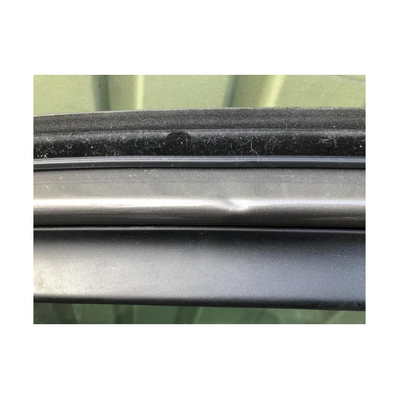 Porte arriere gauche RENAULT LAGUNA 3