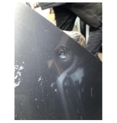 Porte arriere gauche RENAULT LAGUNA 3