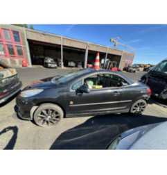 Malle/Hayon arriere PEUGEOT 207 Photo n°16