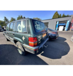 Porte arriere gauche JEEP GRAND CHEROKEE 1 Photo n°13