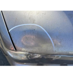 Cache moteur  BMW X5 E53 Photo n°4