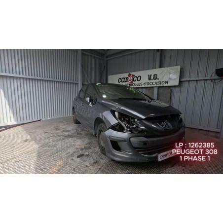 Mastervac PEUGEOT 308 1 Photo n°1