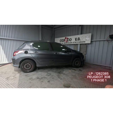 Mastervac PEUGEOT 308 1