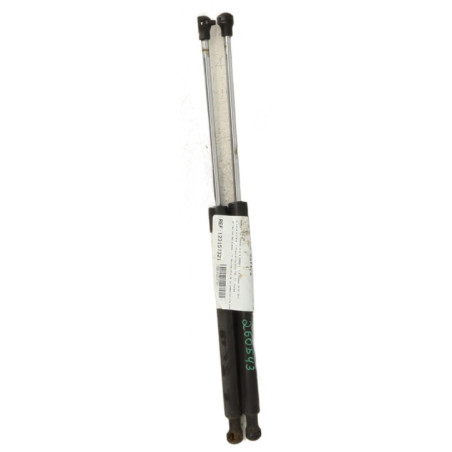 Verin de coffre RENAULT CLIO 3