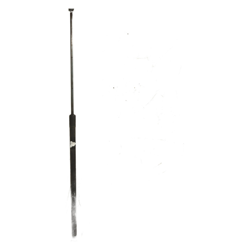 Verin de capot VOLKSWAGEN EOS Photo n°1