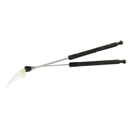 Verin de coffre RENAULT CLIO 3