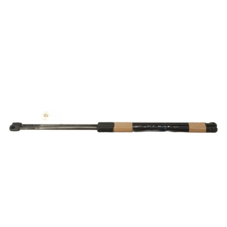 Verin de coffre CITROEN C4 2