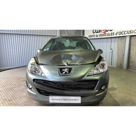Mastervac PEUGEOT 207 Photo n°1
