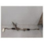 Cremaillere assistee RENAULT TRAFIC 3 COURT