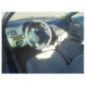 Sigle de calandre RENAULT CLIO 2