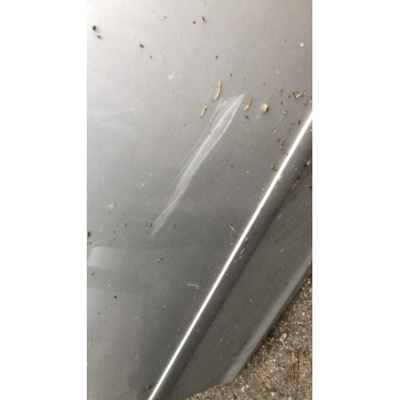 Porte arriere gauche FORD FOCUS 2