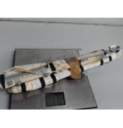 Air bag rideau gauche NISSAN JUKE 1