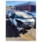 Mastervac CITROEN C3 3