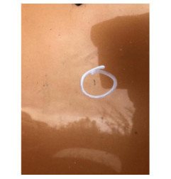 Capot CITROEN C3 PLURIEL