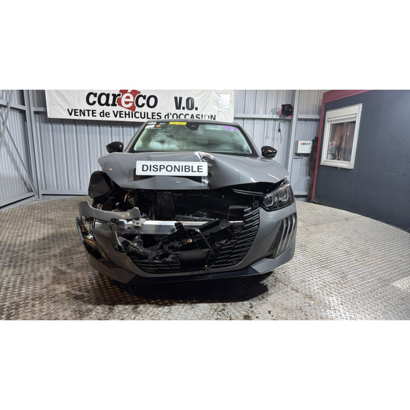 Mastervac PEUGEOT 208 2