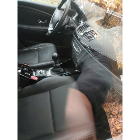 Moteur RENAULT MEGANE 3 Photo n°1