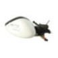 Retroviseur droit CITROEN C3 2