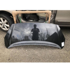 Capot PEUGEOT 1007 Photo n°1