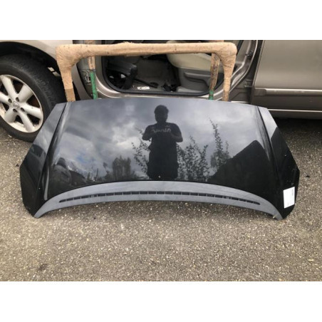 Capot PEUGEOT 1007 Photo n°1