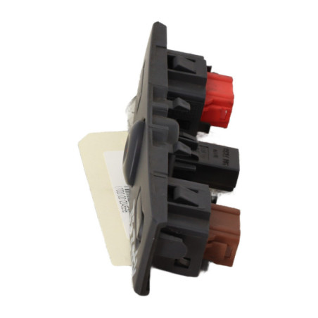 Bouton de warning RENAULT CLIO 2