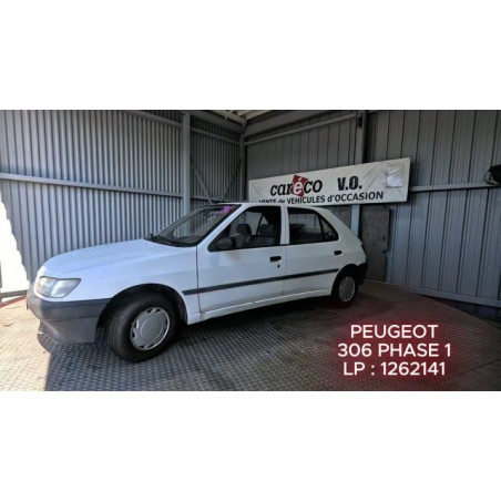 Mastervac PEUGEOT 306