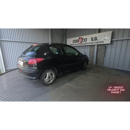 Mastervac PEUGEOT 206