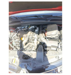 Mastervac RENAULT CLIO 5 Photo n°20