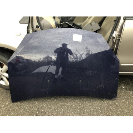 Capot DACIA SANDERO 1 Photo n°1