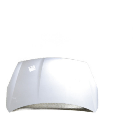 Capot HYUNDAI I 20 1 Photo n°1