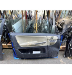 Porte avant gauche RENAULT AVANTIME Photo n°1