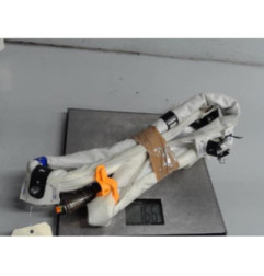 Air bag rideau gauche VOLKSWAGEN TIGUAN 1 Photo n°1