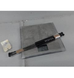 Verin de coffre FIAT PUNTO EVO 3 Photo n°1