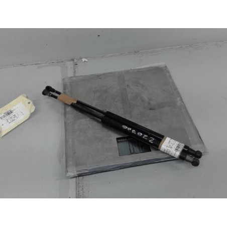 Verin de coffre FIAT PUNTO EVO 3