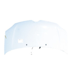 Capot RENAULT TWINGO 3 Photo n°1