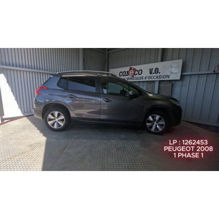Mastervac PEUGEOT 2008 1