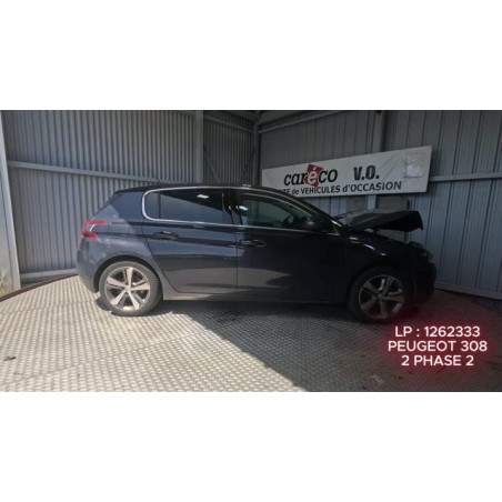 Mastervac PEUGEOT 308 2