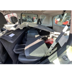 Porte avant gauche RENAULT SCENIC 3 Photo n°8