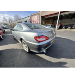 Malle/Hayon arriere PEUGEOT 406 Photo n°13