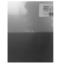 Porte arriere gauche RENAULT SCENIC 3 Photo n°1