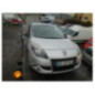 Porte arriere gauche RENAULT SCENIC 3