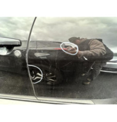 Porte arriere gauche DACIA DUSTER 1 Photo n°10