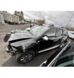 Porte arriere gauche DACIA DUSTER 1 Photo n°16