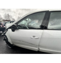 Porte arriere gauche RENAULT SCENIC 3 Photo n°10