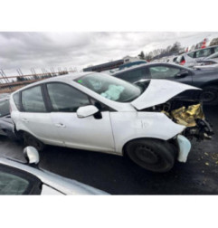 Porte arriere gauche RENAULT SCENIC 3 Photo n°13